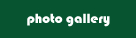 Photo Gallery